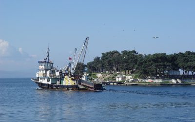 DSC08927